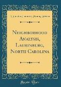Neighborhood Analysis, Laurinburg, North Carolina (Classic Reprint)