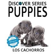 Puppies / Los cachorros