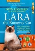 Lara The Runaway Cat