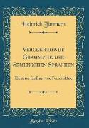 Vergleichende Grammatik Der Semitischen Sprachen: Elemente Der Laut-Und Formenlehre (Classic Reprint)