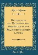 Hexenglaube Und Hexenprocesse, Vornämlich in Den Braunschweigischen Landen (Classic Reprint)