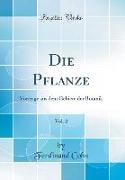 Die Pflanze, Vol. 2: Vorträge Aus Dem Gebiete Der Botanik (Classic Reprint)