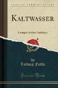 Kaltwasser: Lustspiel in Drei Aufzügen (Classic Reprint)