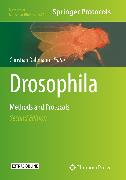 Drosophila