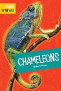 Chameleons