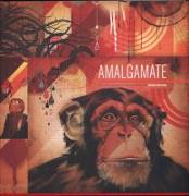 Amalgamate: The Art, Design and Exploration of Blaine Fontana