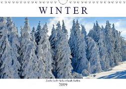 Winter. Zauberhafte Schneelandschaften (Wandkalender 2019 DIN A4 quer)