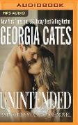 Unintended: A Sin Series Standalone Novel