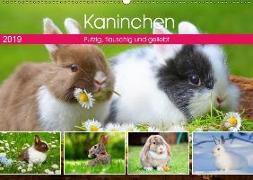 Kaninchen. Putzig, flauschig und geliebt (Wandkalender 2019 DIN A2 quer)