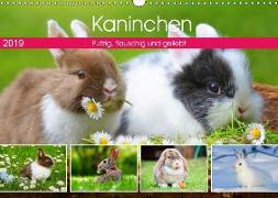 Kaninchen. Putzig, flauschig und geliebt (Wandkalender 2019 DIN A3 quer)
