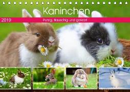 Kaninchen. Putzig, flauschig und geliebt (Tischkalender 2019 DIN A5 quer)