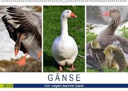 Gänse. Von wegen dumme Gans! (Wandkalender 2019 DIN A2 quer)