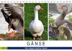 Gänse. Von wegen dumme Gans! (Tischkalender 2019 DIN A5 quer)