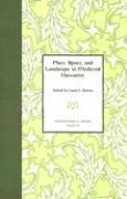 Place, Space, and Landscape in Medieval Narrative: Volume 43