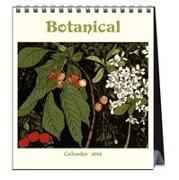 BOTANICAL BY LUITE KLAVER 2019 CALENDAR