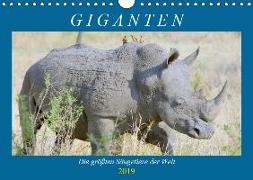 Giganten. Die größten Säugetiere der Welt (Wandkalender 2019 DIN A4 quer)