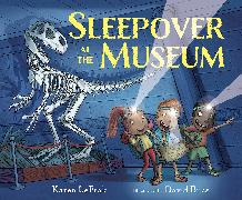 Sleepover at the Museum