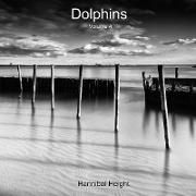 Dolphins - Volume 4