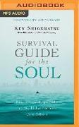 Survival Guide for the Soul: How to Flourish Spiritually in a World That Pressures Us to Achieve