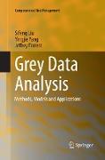 Grey Data Analysis