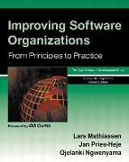 Improving Software Organizations