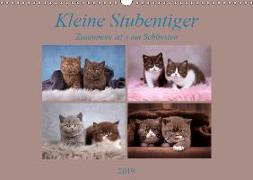 Kleine Stubenstiger (Wandkalender 2019 DIN A3 quer)