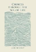 Choices Through the Sea of Life