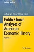 Public Choice Analyses of American Economic History