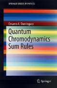 Quantum Chromodynamics Sum Rules