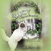 Lucy a Special Ragdoll