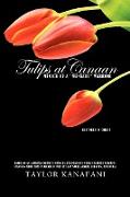Tulips at Canaan