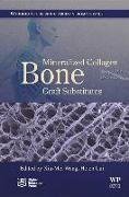 Mineralized Collagen Bone Graft Substitutes