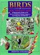 Birds of South-east Asia