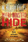 Where Monsters Hide