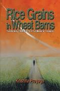 Rice Grains in Wheat Barns