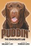 Puddin': The Chocolate Lab