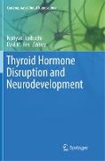 Thyroid Hormone Disruption and Neurodevelopment