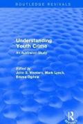 Understanding Youth Crime