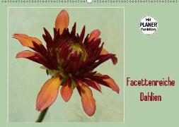 Facettenreiche Dahlien (Wandkalender 2019 DIN A2 quer)