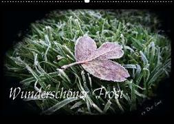 Wunderschöner Frost (Wandkalender 2013 DIN A3 quer)