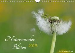 Naturwunder Bl¿ten (Wandkalender 2019 DIN A4 quer)