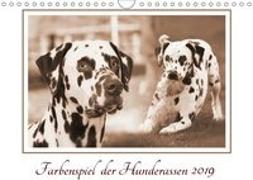 Farbenspiel der Hunderassen (Wandkalender 2019 DIN A4 quer)