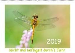 leicht und beflügelt durch´s Jahr 2019 (Wandkalender 2019 DIN A2 quer)