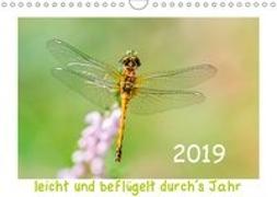leicht und beflügelt durch´s Jahr 2019 (Wandkalender 2019 DIN A4 quer)