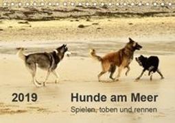 Hunde am Meer - Spielen, toben und rennen (Tischkalender 2019 DIN A5 quer)
