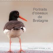 Portraits d'oiseaux de Bretagne (Calendrier mural 2019 300 × 300 mm Square)