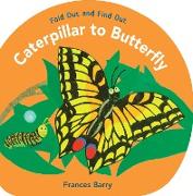 Caterpillar to Butterfly: Fold Out and Find Out