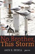 No Brother, This Storm: Poems