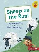 Sheep on the Run!