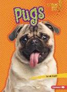 Pugs